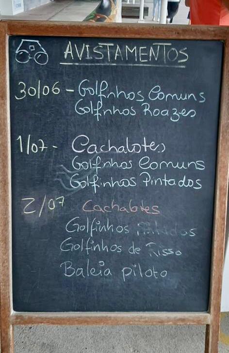 Pizarra de avistamientos <img loading=