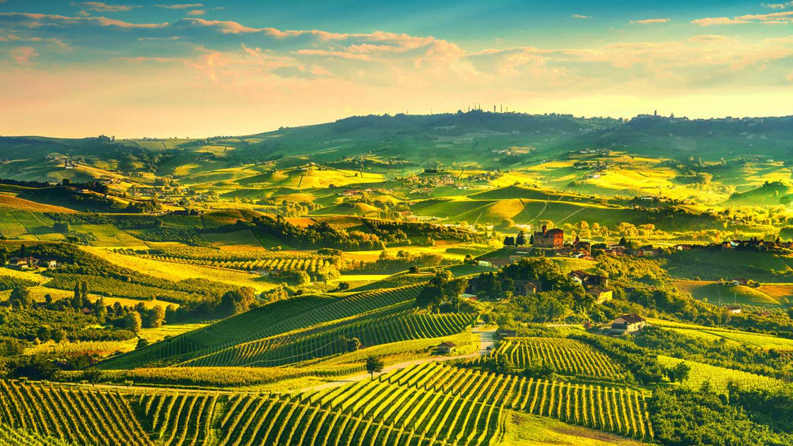 Paisaje de viñedos en Italia