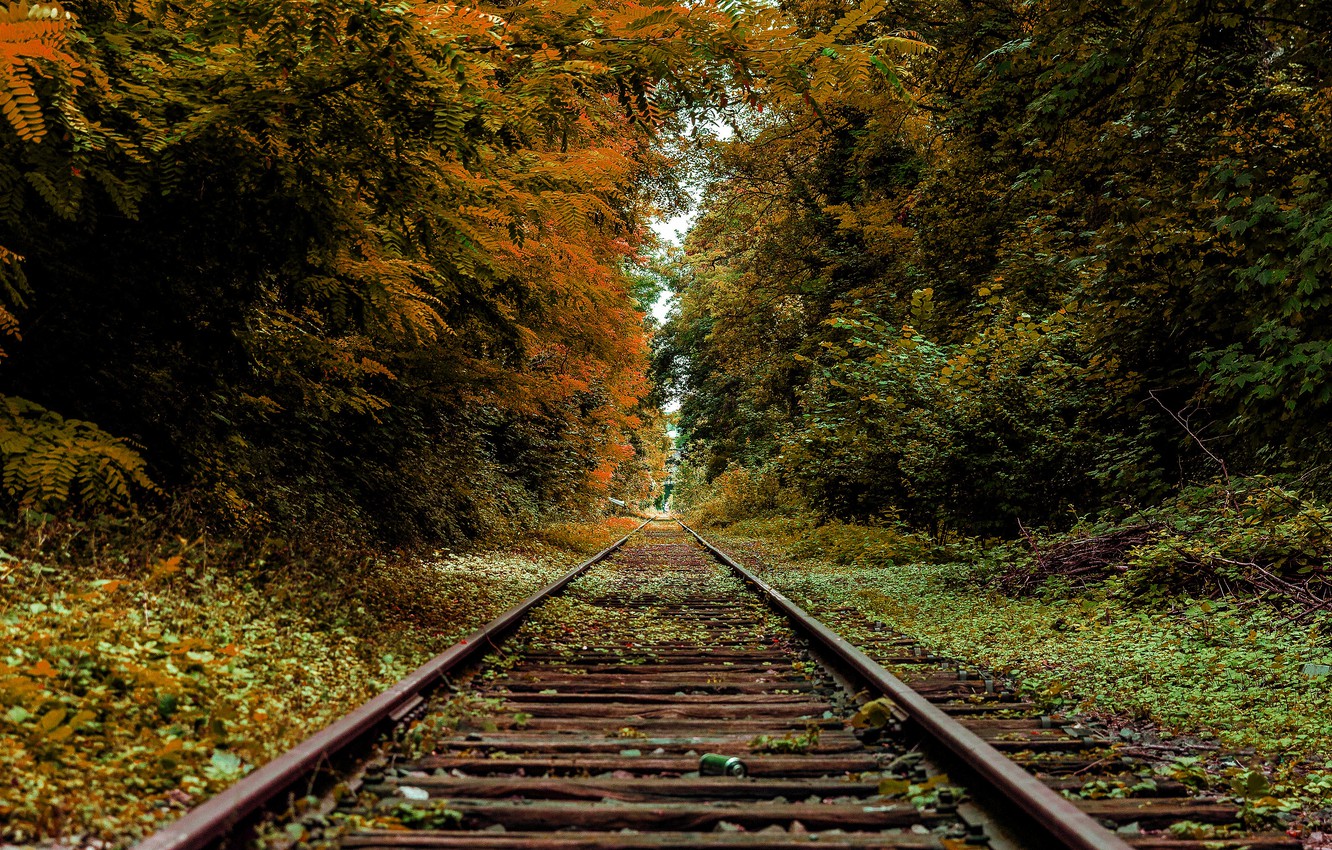 Vía del tren en otoño